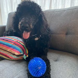 Meet your Posher, Joy